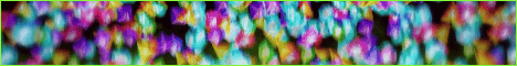 MultiNet banner