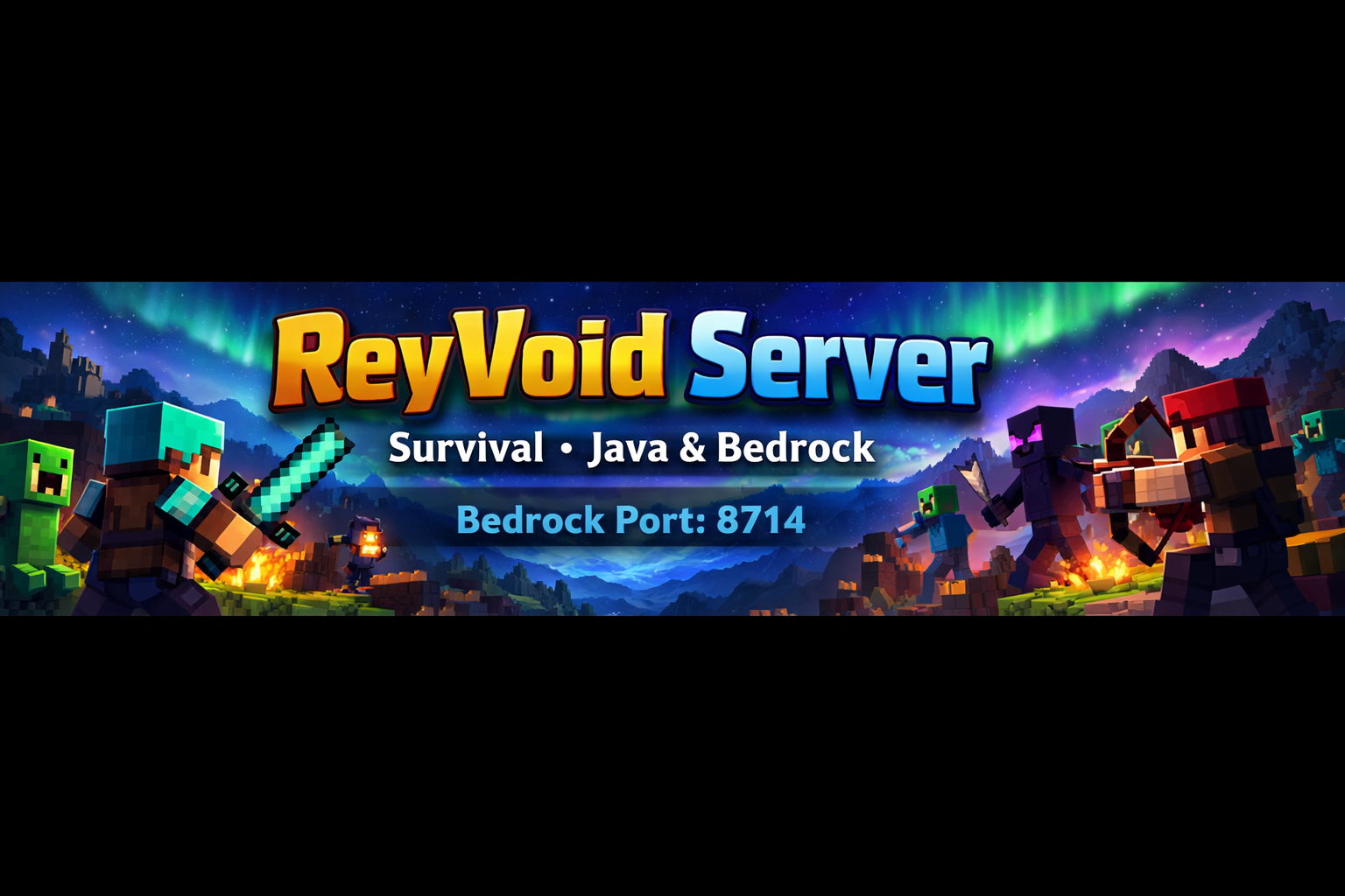 ReyVoid banner