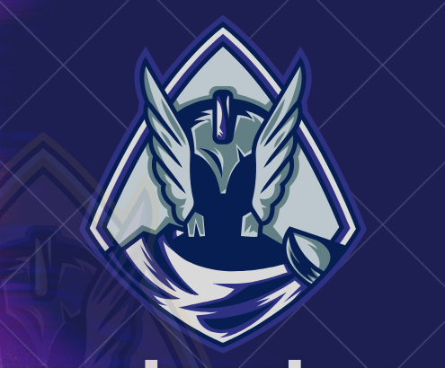 Vanlite Network banner