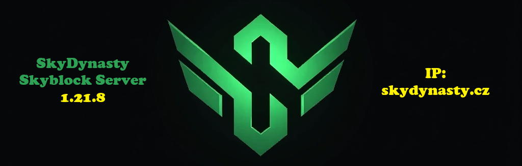 SkyDynasty banner