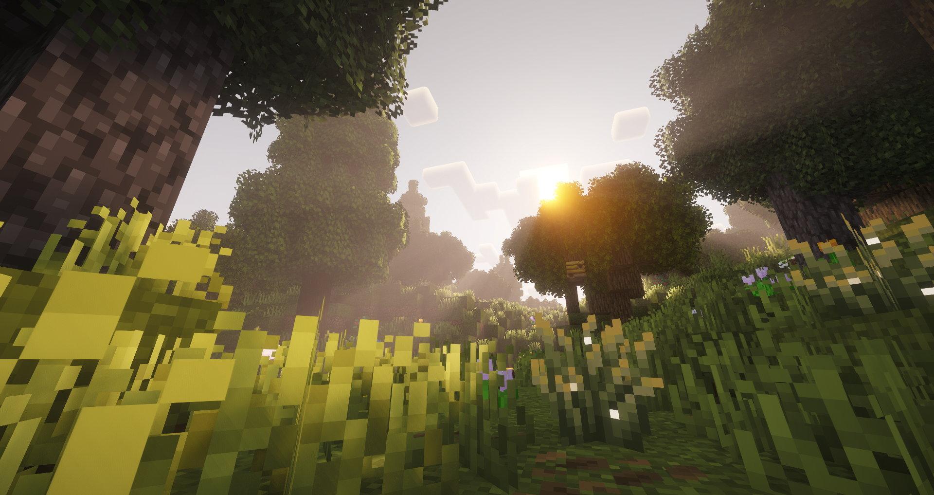 Wayfinder SMP thumbnail