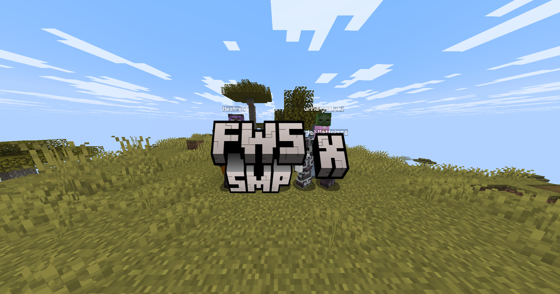 Fws Smp Plus thumbnail