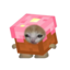 MeowCraft thumbnail