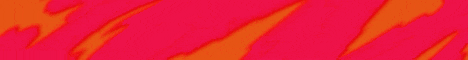 Reborn SMP banner