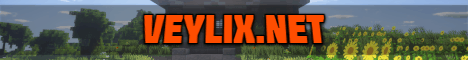 Veylix Skyblock banner
