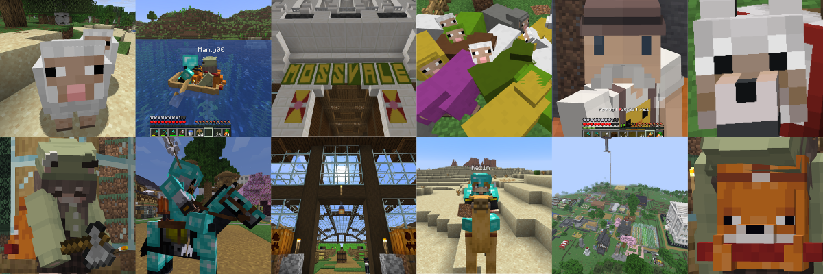 Mossvale SMP banner