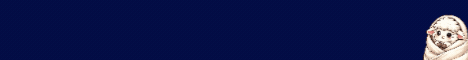 Snug SMP banner