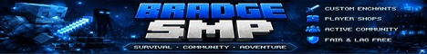 Bradge SMP banner