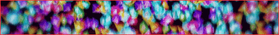 Arvyx Survival x SMP banner