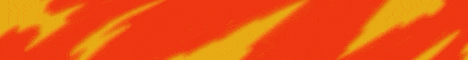 Zenit Middle School banner